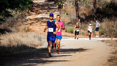 Les meilleures boutiques de running à marseille : focus sur decathlon